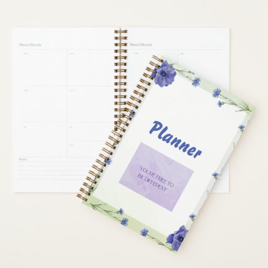 Planner (Display)