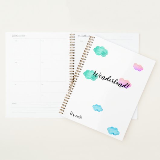 Planner (Display)