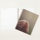Planner (Display)