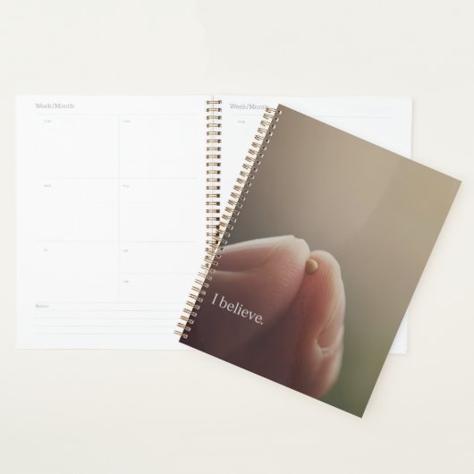 Planner (Display)