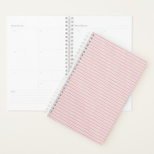 Planner (Display)