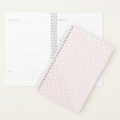 Planner (Display)