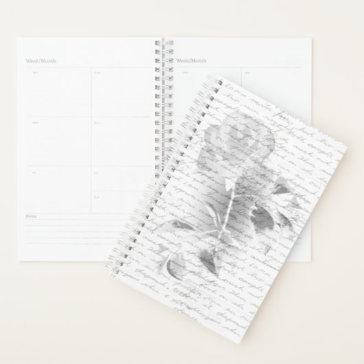 Planner (Display)