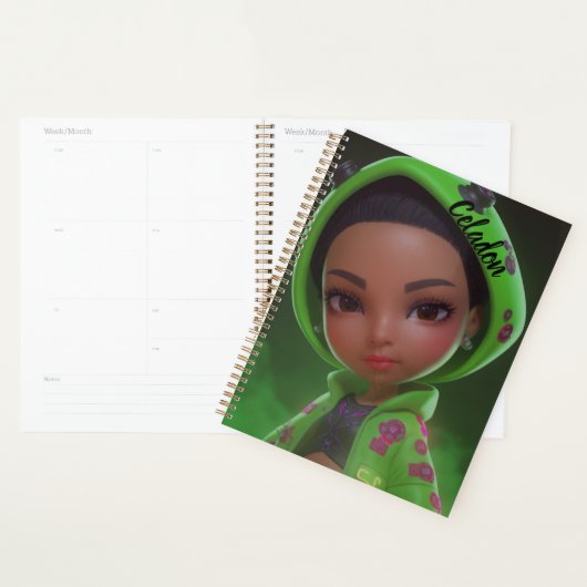 Planner (Display)