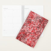 Planner (Display)