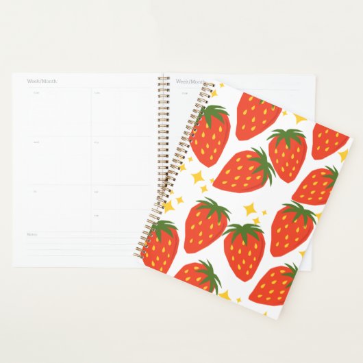 Planner (Display)