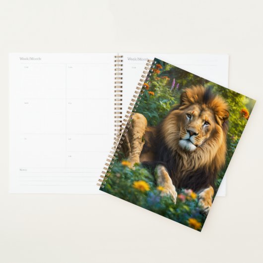Planner (Display)