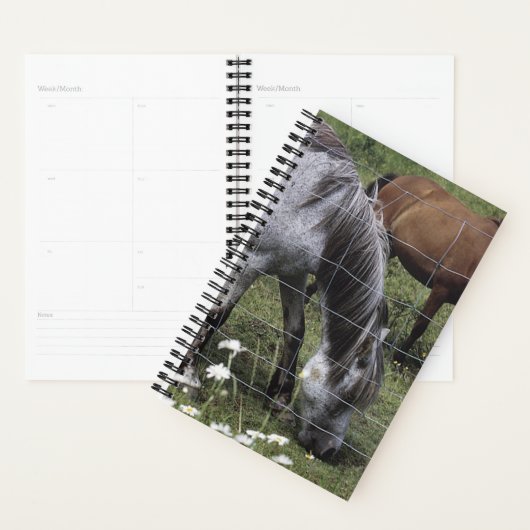 Planner Horse Photo Equine Grazing Horses (Display)