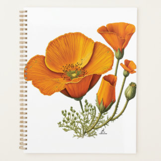 Planner van de Oranje papaverdag van de Californis