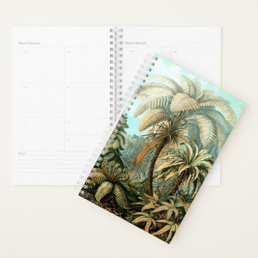 Planner van Ernst Haeckel (Display)