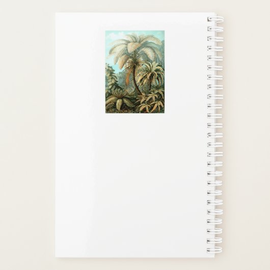 Planner van Ernst Haeckel (Achterkant)