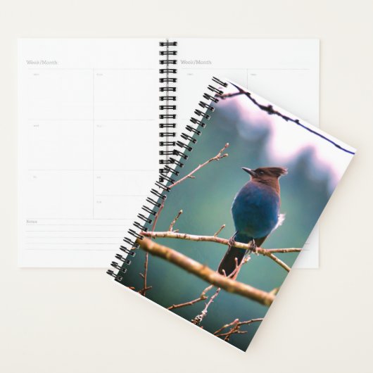 Planner voor vogelaars (Display)