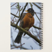 Planner voor vogelaars (Achterkant)