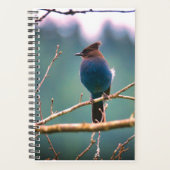 Planner voor vogelaars (Voorkant)