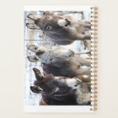 Planner wild burros (Dos)