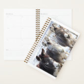 Planner wild burros (Devant avec enveloppe)