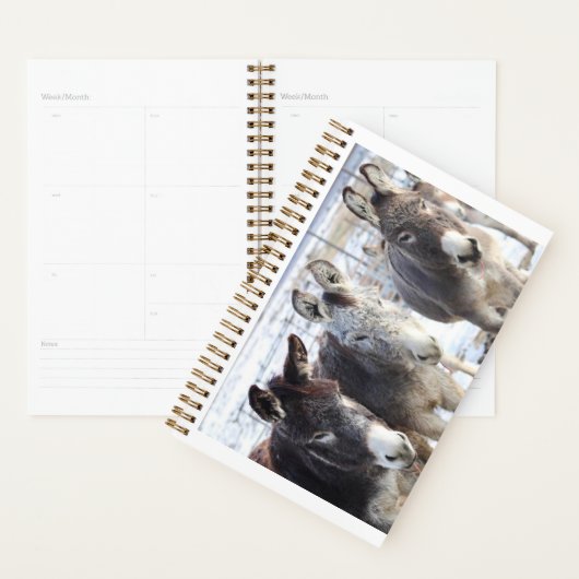 Planner wilde burros (Display)