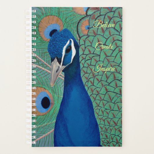 Planneur Peacock Bleu (Devant)
