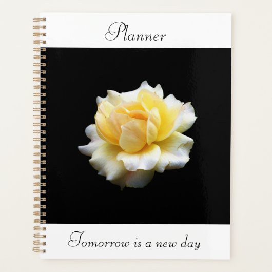 Plannière Rose blanche (Devant)