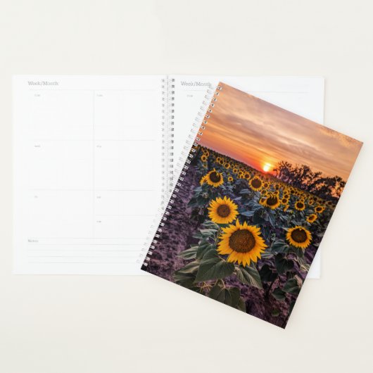 Plannière tournesol (Devant avec enveloppe)