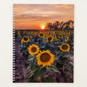 Plannière tournesol (Devant)