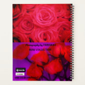 PLANNIFICATEUR DE ROSES (Dos)