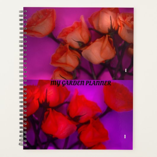 PLANNIFICATEUR DE ROSES (Devant)