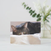 Planningsfouten Briefkaart (Staand voorkant)