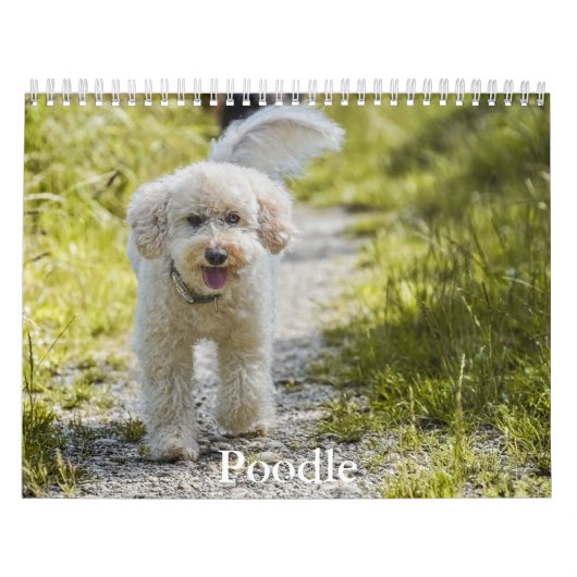 Planningskalender Kalender (Hoes)