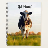Plans mignons Holstein Heifer dans le pâturage (Lg (Devant)