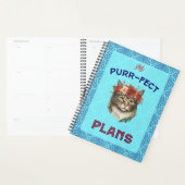 Plans Purr-fect Maine Coon turquoise (Devant avec enveloppe)