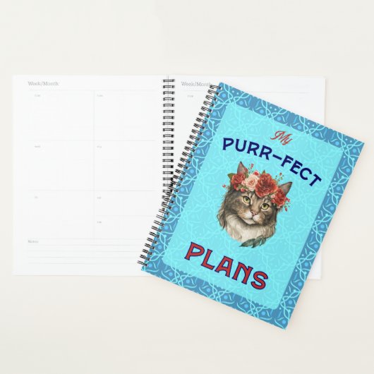 Plans Purr-fect Maine Coon turquoise (Devant avec enveloppe)