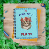 Plans Purr-fect Maine Coon turquoise