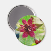 PLANT 2 MAGNEET (Voorkant / Achterkant)