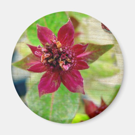 PLANT 2 MAGNEET (Voorkant)