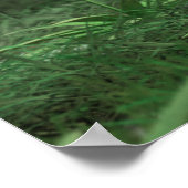 PLANT 3 POSTER (Hoek)