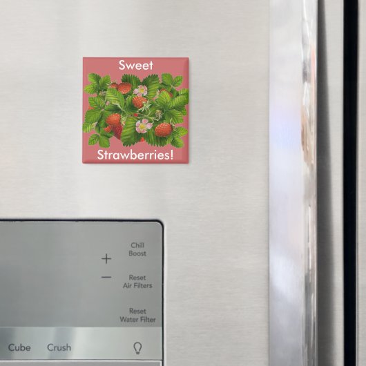  Plant aardbei Magneet (Insitu (Koelkast))