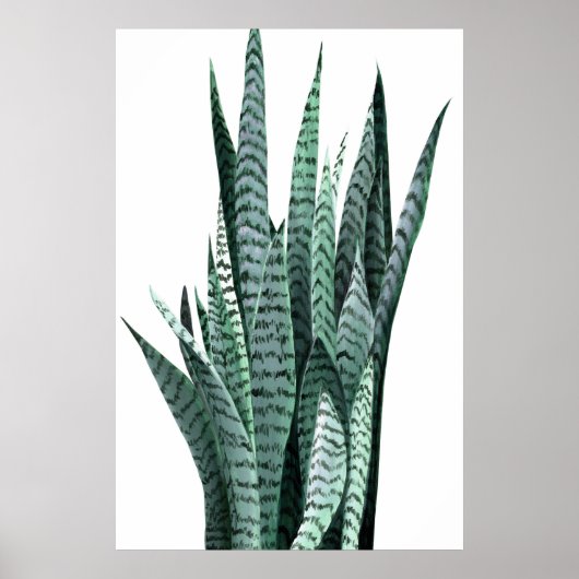 Plant Acrylverf Poster (Voorkant)