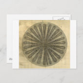  Plant Anatomie Briefkaart (Voorkant / Achterkant)