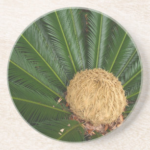 Plant/Bloemenserie---Sago Palm Onderzetter