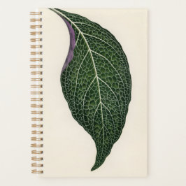 Plant Botanic mama papa Planner