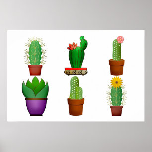 Plant Cactus Achtergrond Poster