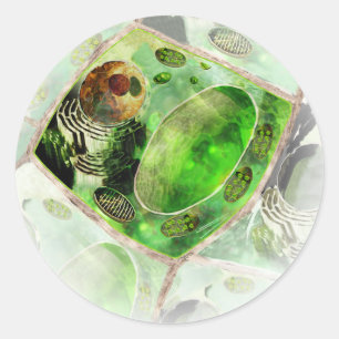 Plant Cell sticker