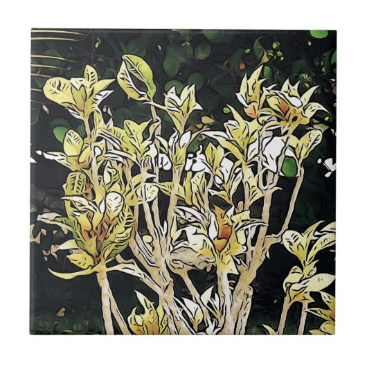 Plant Cuba Tegeltje (Voorkant)