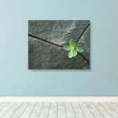Plant dat in de boulder groeit canvas afdruk (Insitu (Houten vloer))