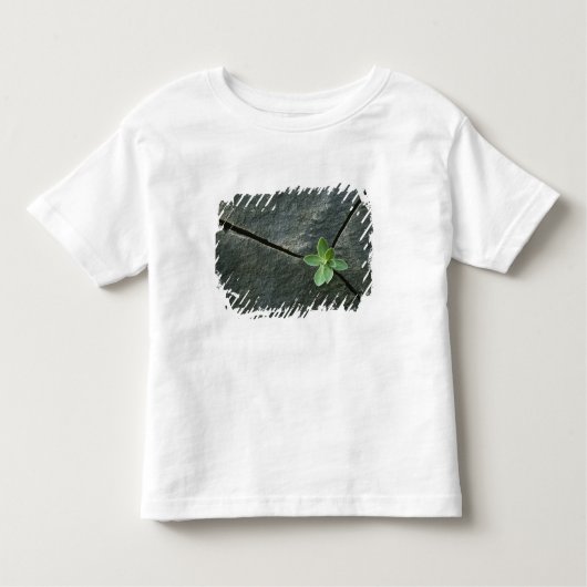 Plant dat in de boulder groeit kinder shirts (Voorkant)