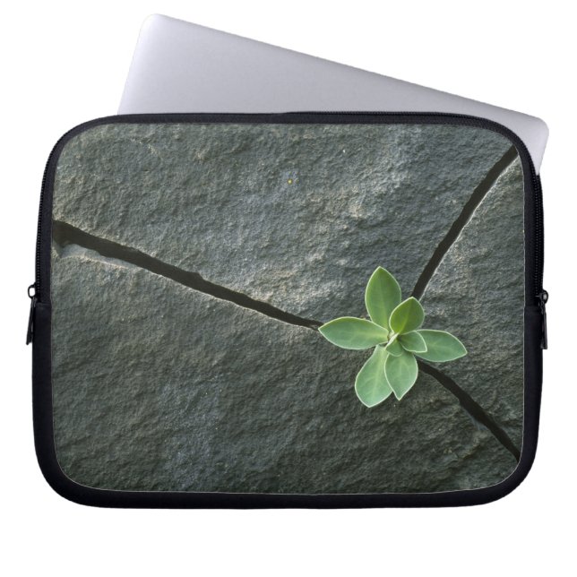 Plant dat in de boulder groeit laptop sleeve (Voorkant)