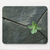 Plant dat in de boulder groeit muismat (Voorkant)