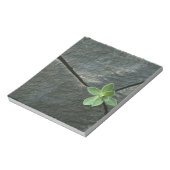 Plant dat in de boulder groeit notitieblok (Gedraaid)