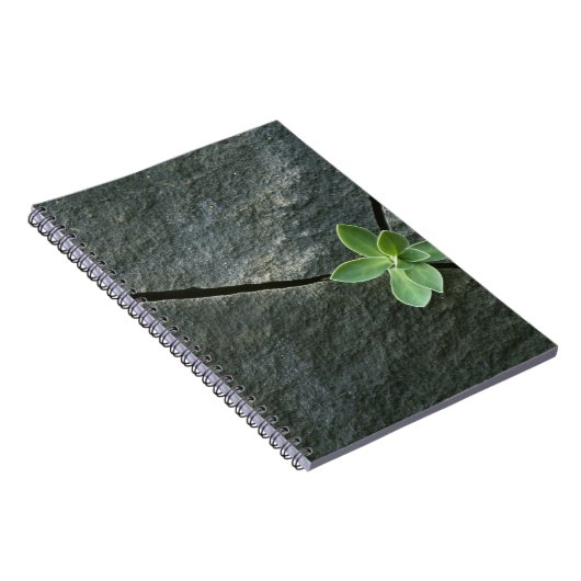 Plant dat in de boulder groeit notitieboek (Rechterzijde)